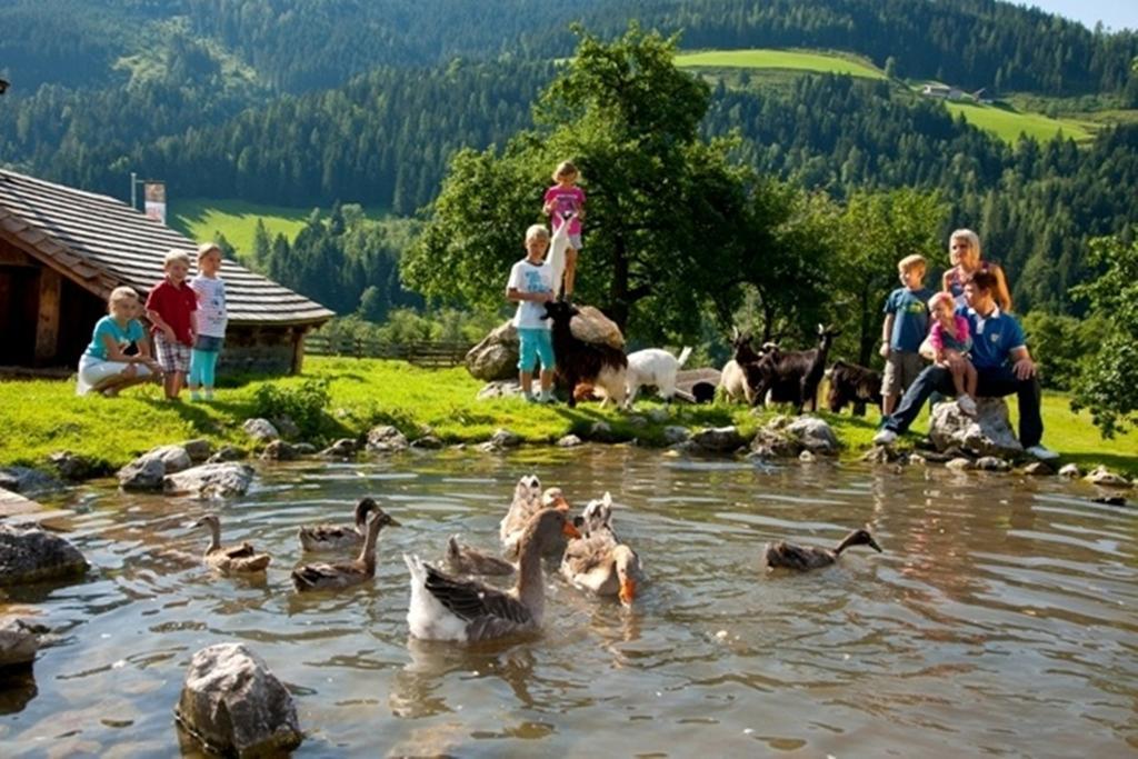 Hotel Alpenrose Muehlbach Am Hochkoenig Extérieur photo