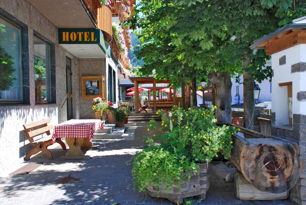Hotel Alpenrose Muehlbach Am Hochkoenig Extérieur photo