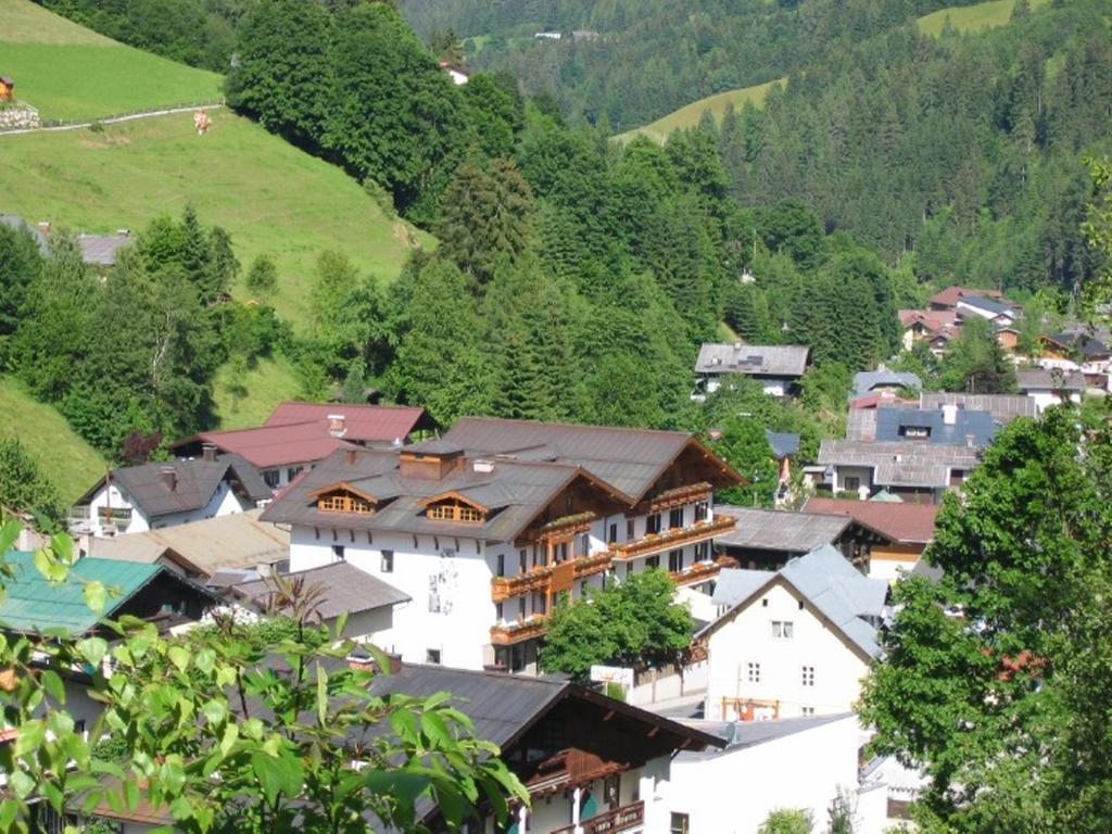Hotel Alpenrose Muehlbach Am Hochkoenig Extérieur photo